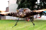 CatThumb
