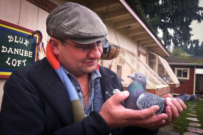 Romanian immigrant George Dobre holds one of his cherished homing pigeons outside the loft he built to house them in his backyard in Kent. (Photo by Sarah Stuteville)