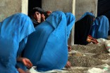 Women sort pistachios in a privately-owned factory in Herat, Afghanistan. (Photo by United Nations Photo )
