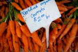 Carrots at the Phinney farmer's market. (Photo by Jason Walsh )