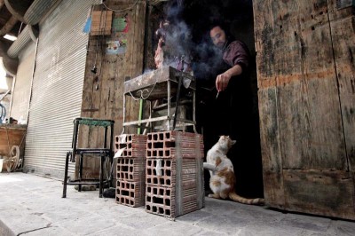 A food vendor in Aleppo feeds a feline friend. Despite violence that has killed more than 70,000 people, life continues. (Photo by Omar Faez Asfari)