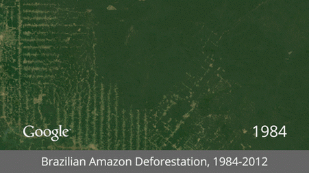 Brazilian Amazon Deforestation (1)