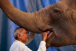 A man feeds an elephant outside the circus tent