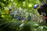 Rob Anderson (right) senior project manager with Seattle-based EarthCorps, cuts a section of a blackberry plant for a group of international volunteers learning about invasive plants as part of a six-month program here on conservation and sustainability. (Photo by Ellen M. Banner / The Seattle Times)