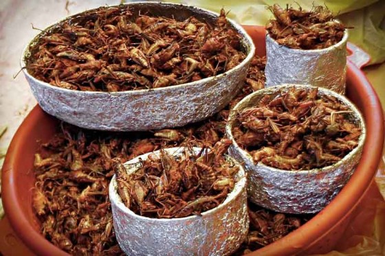 A basket of Chapulines (roasted crickets) in a market in Tepoztlan, Mexico (Photo by Meutia Chaerani / Indradi Soemardjan)