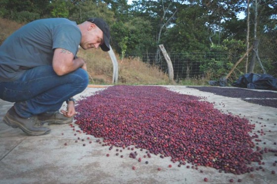 Todd Carmichael inspects a crop of red fruit with coffee bean seeds in Mexico, in a still from the season premiere of "Dangerous Grounds." (Photo courtesy Travel Channel)