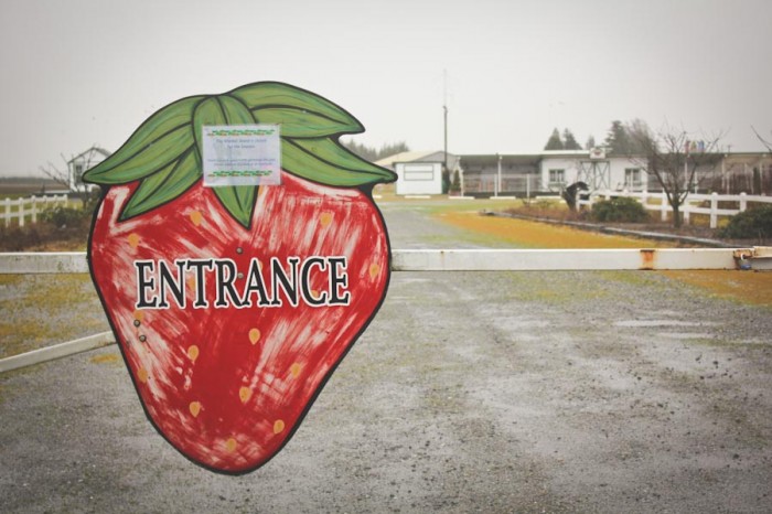 Sakuma Bros. Farms entrance. (Photo by Ashley Stewart)