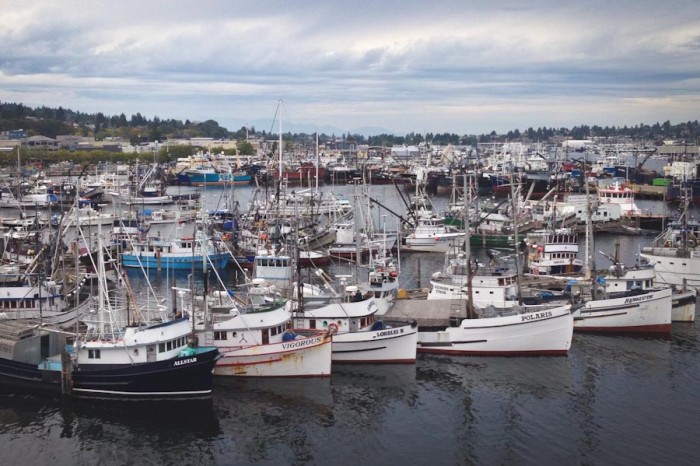 Fishing boats moored at Fishermen's Terminal in Ballard. (Photo by Lael Henterly)