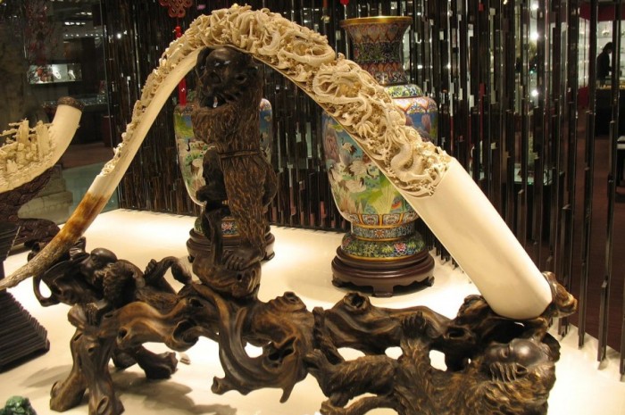 Carved Tusk in Kowloon storefront. Photo by televiseus via Flickr.