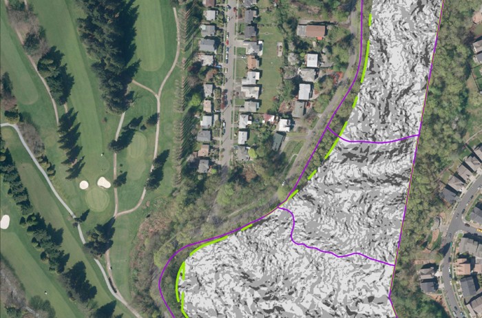A map identifying slope areas of the Cheasty Greenspace that would overlap with parts of a proposed mountain bike trail. (Screenshot from Seattle's Parks and Recreation Department website)