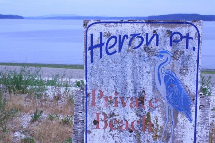 Just south of Heron Point, on the Key Peninsula is a potential site for the state's Pilot Geoduck Aquaculture Program. (Photo by Jesse Miles)