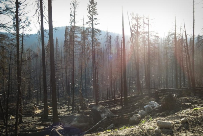More than 20 percent of the Colville Reservation burned in two major fires this summer. (Photo by Colton Miller)