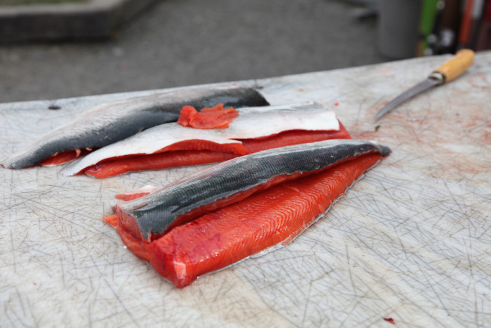 Cleaned Silver Salmon caught in Ship Creek Inlet of downtown Anchorage in Alaska. (Photo by Alex Stonehill) 