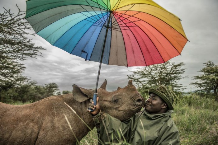 One of Vitale's National Geographic assignments was covering efforts to save some of the last few white rhinos on earth. (Courtesy photo by Ami Vitale)