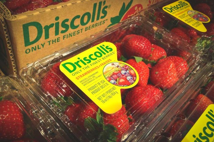 Watsonville, California-based Driscoll's, estimated to be the world's largest berry distributor, has faced calls for a consumer boycott over conditions at Sakuma Brothers Farms here in Washington, and other source farms in Mexico. (Photo from Flickr by Mike Motzart)