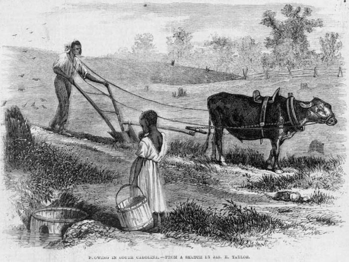 A post-Civil War woodcut shows a black farmer plowing in South Carolina. (Public Domain)