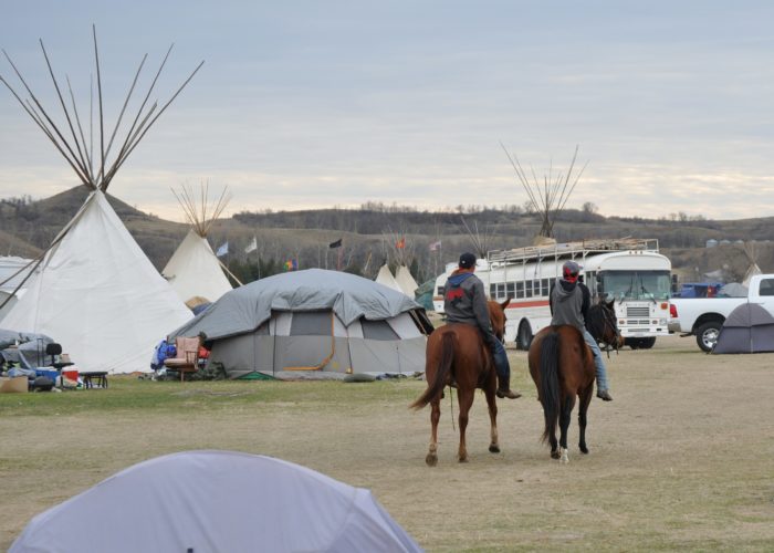Horse-riders at the camp at Standing Rock camp go wherever they are needed. But when the protests start and police are engaged, even animals have become victims.